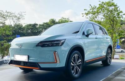 SUV médio 5 portas 5 lugares Skyworth EV6 520 Travel Edition