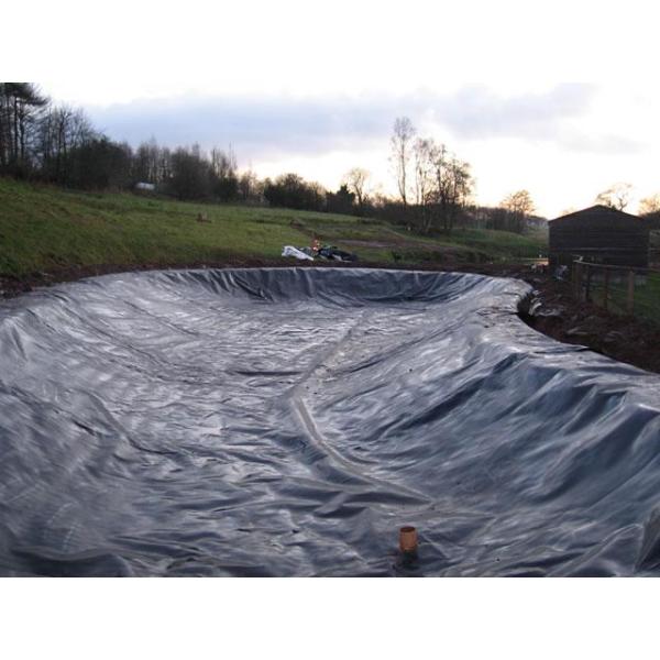 Высокая плотность водонепроницаемая геомембрана из HDPE для черных наружных прудов с креветками и рыбой