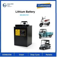 CLF OEM ODM 48V 60V 72V Bateria de íons de lítio Packs LiFePO4 para scooter elétrico Motociclo Triciclo Carro Carro de golfe veículo