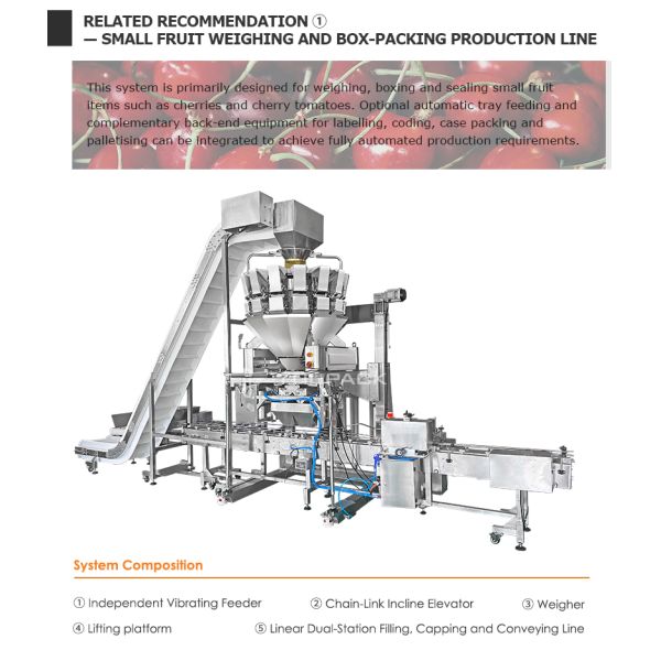 Automatic Plastic Box Weighing Filling Machine For Fruit And Vegetable