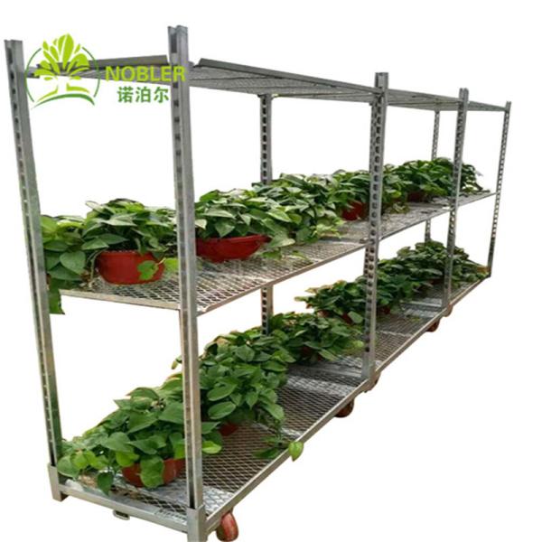 Plywood Shelf Dutch Flower Trolley Electro Galvanized 1900mm