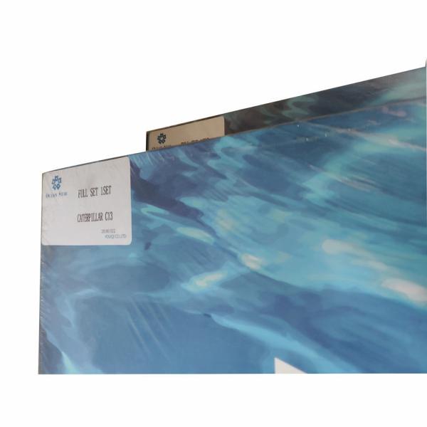 Прочное набора 221-9392 набивкой двигателя CAT C13 ARTSS многофункциональное