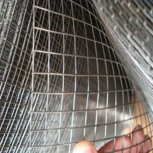 Welded Mesh Series