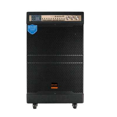 Powerful USB TF BT Pre Amplified Speaker 15 Inch Battery Powered Audio Speakers