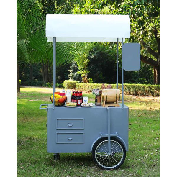 Portable snack food hand push Cart Street vendor Food Delivery Bike with Display Freezer