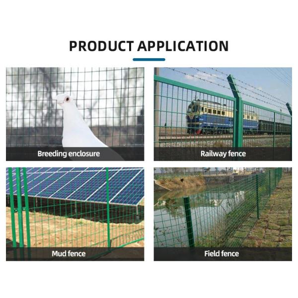 Customized Welded PVC Coated Wire Mesh Roll for Cattle Fencing and Enclosures