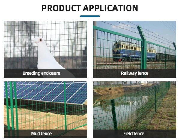 Electro Galvanized Customised Coloured Iron Wire Welded Mesh Roll For Farm Garden Fence