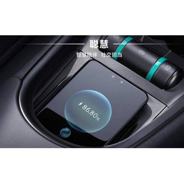 Byd Dolphin 301 km -405 km The Perfect Combination of Performance and Sustainability