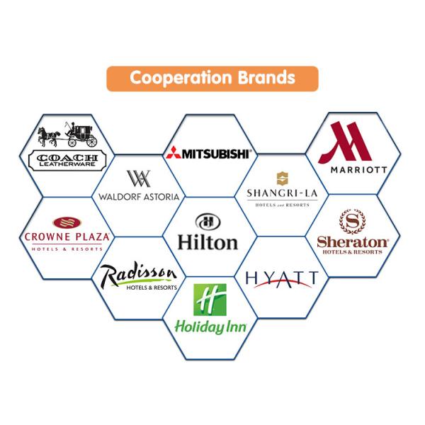 Fireproof Banquet Room Hotel Carpet with Medium Pile Height and 3D Printed Design