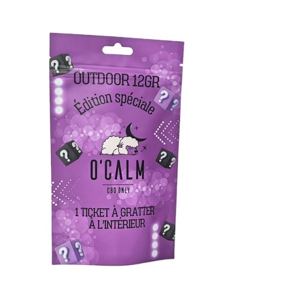 Factory Custom Logo Printing Matte Anti-Smell Stand up Zipper Bags Food Grade Packaging Pouch Mylar Doypack with Euro Hole