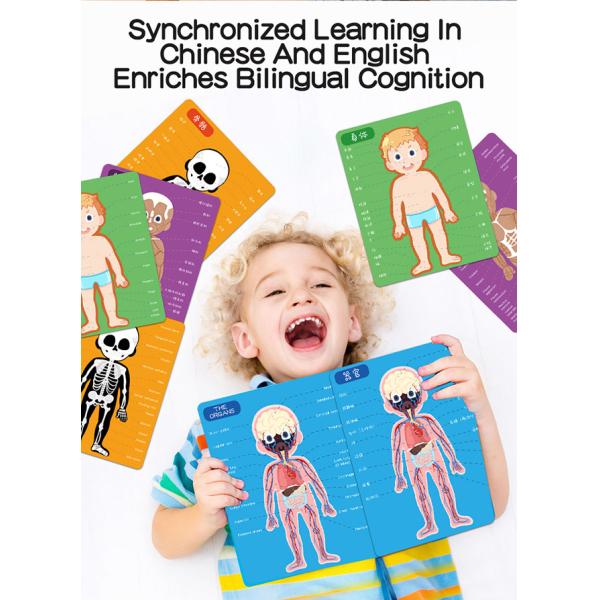 Parent Child Interactive Magnetic Jigsaw Puzzles 48PCS Indoor Eco Friendly