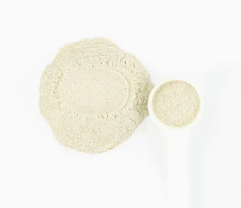GMP factory  supply 98% Purity Piperlongumine Powder CAS 20069-09-4  low price