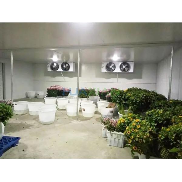 Air Cooled Cold Storage Room Fresh Cut Floral Flower Walk In Cooler