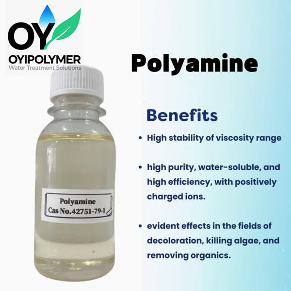 Liquid Flocculant Polymer CAS 42751-79-1 Polyamine for Water Treatment Chemicals Water Cleaner