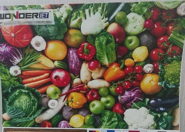 Single Pass Industrial Digital Printing Machine On Corrugated Cardboard Box WD200-24A