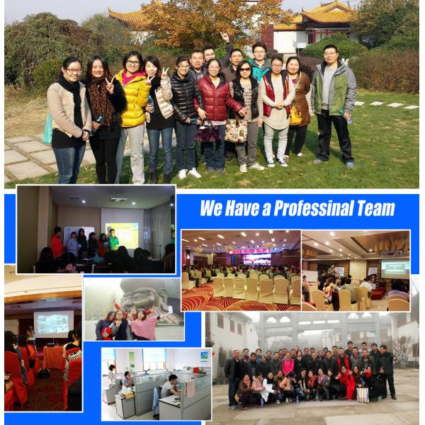 Промышленные химикаты водоочистки/содержание агента 52% Decoloring воды твердое