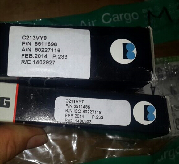 Ceramic Bearing , Mixed Ceramic FAG Bearing Hybrid Ceramic Bearing C213VY8