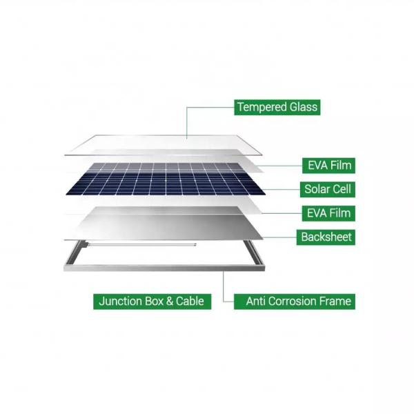 N-Type TOPCon Technology Monocrystalline Module with Double Glass and Bifacial Design