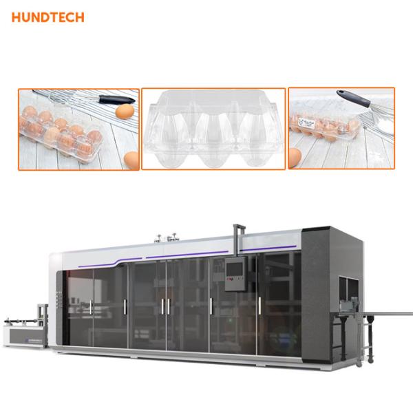 Máquina de Tray Manufacturing Machine Egg Packaging Thermoforming do ovo de quatro estações