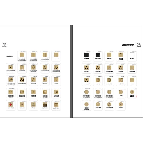 3 Pin 2 Gang Wall Switch And Socket Gold Finish 87mm 91.2mm