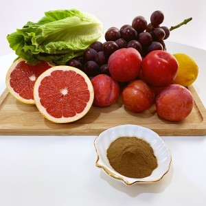 10% oligo-éléments acides aminés chélate pour complément végétal avancé engrais