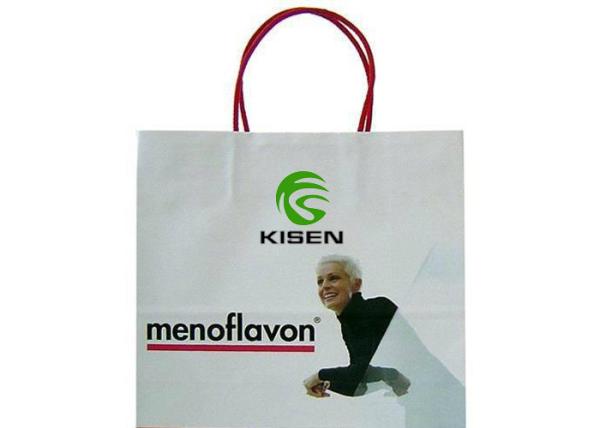 White Kraft Paper Shopping Bags For Gift Packaging Rope Handle Custom Size