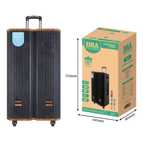 ODM OEM Wooden Outdoor Active Speakers Karaoke Speaker Sound System