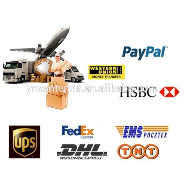 VSWR 1.5 4 sección de acero inoxidable AM FM radio antena con conector jack de 3,5 mm