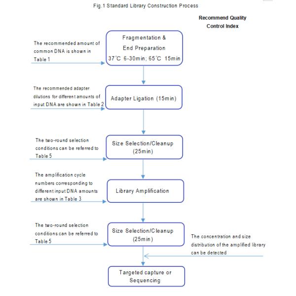 Объем GDSBio MGI высокий Sequencing набор конструкции библиотеки ДНК NGS платформы