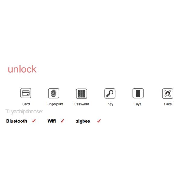 ELA E-760 High-end Smart Fingerprint Door Lock Can Real-time Cat Eye Monitoring Facial Recognition Finger Vein Smart Doo