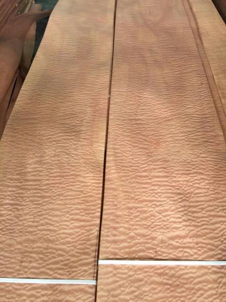 SAPELI: SAPELE POMMELE Wood Veneer China
