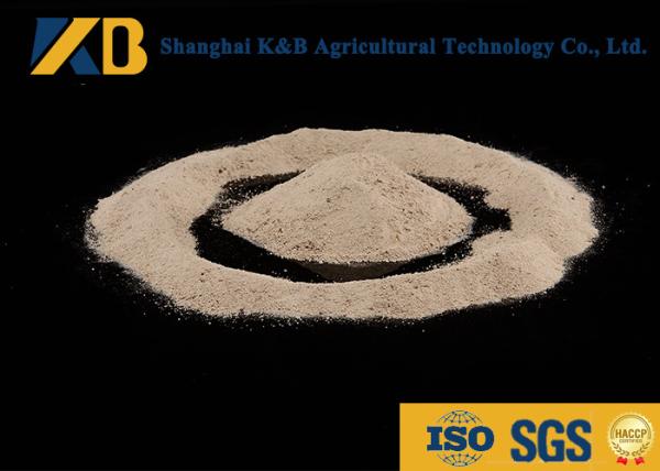 Non GMO 60% Content Rice Protein Powder Ease Digestible Neutral Odor And Flavor