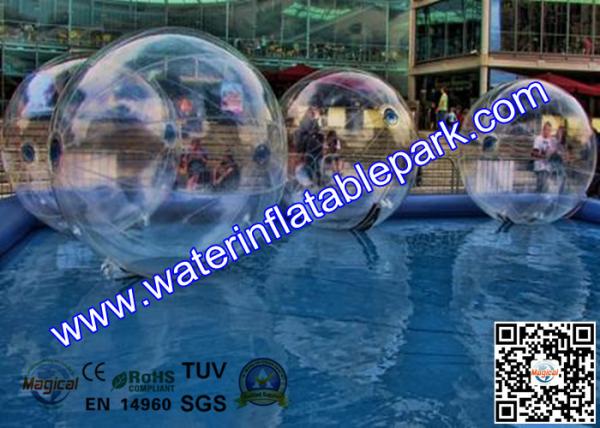 Popular Customized Inflatable Water Ball 1.0mm For Commercial Rental