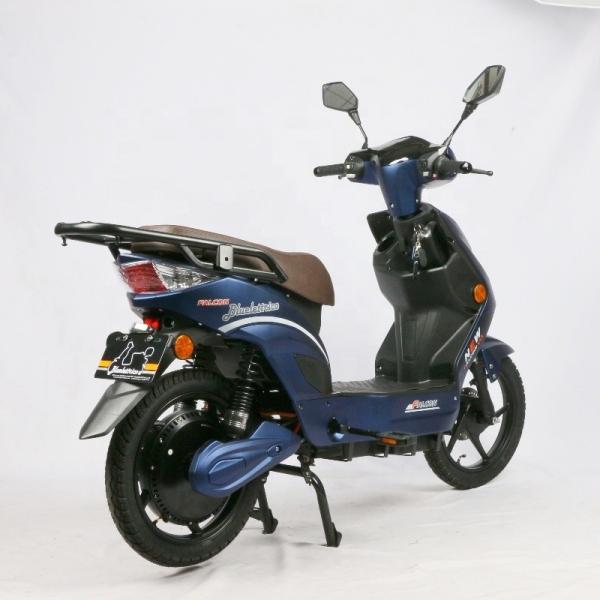 48V 800W High Power Electric Moped Bike EEC Certification For Unisex Riders