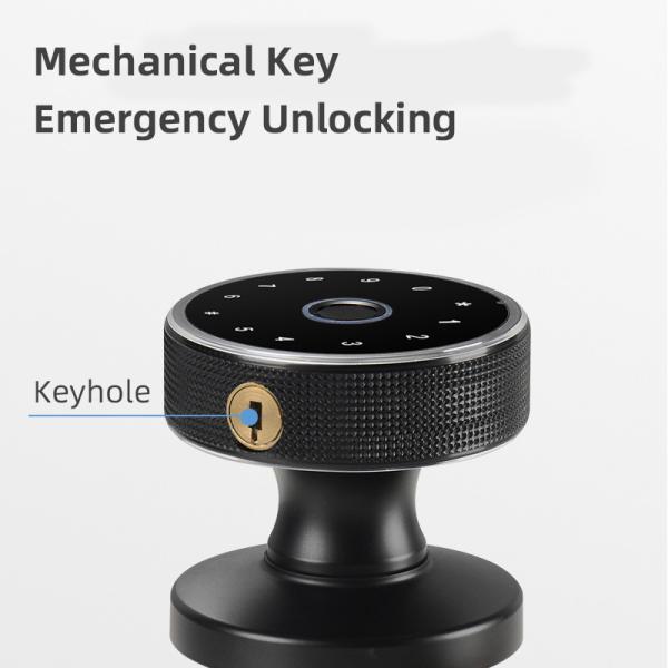 Round Handle Biometric Smart Lock Smart Fingerprint Door Lock With Tuya App