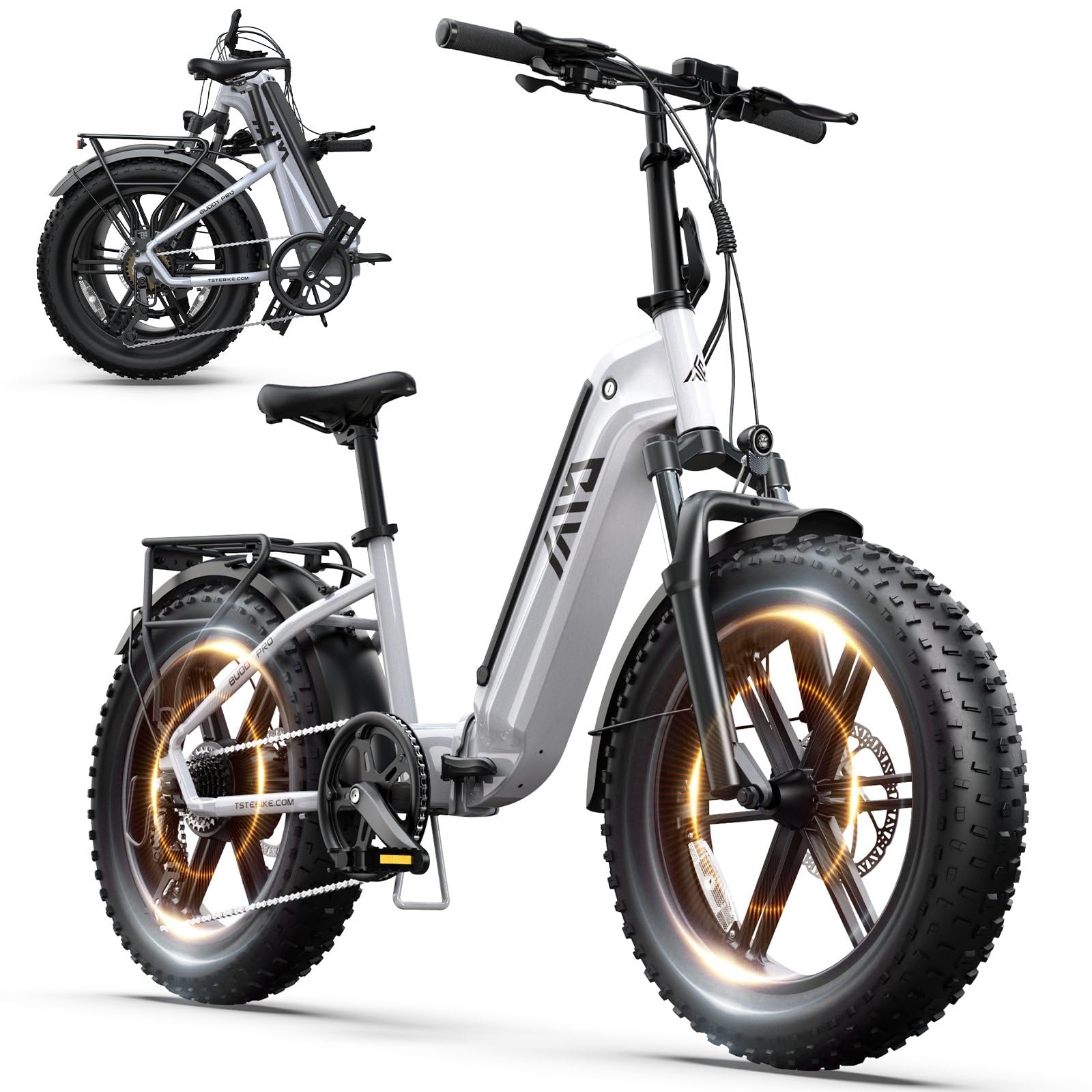 Hot Selling TST 250W Powerful Steel Frame Electric Hybrid Folding Bike for Teens Electric Bike Adults Bicicleta Foldable Ebike