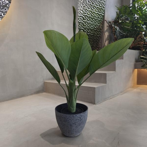 Легкие пластиковые горшки для цветочных плантаций Внутренний открытый дом Большой сад