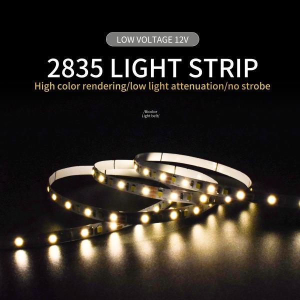 3000k 12w Smd Led Flexible Strips 2835 Remote Control