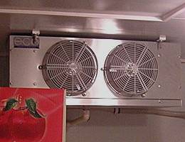 Commercial Cold Storage Cold Room,Mobile Modular Walk In Refrigerator With Fan Cooling