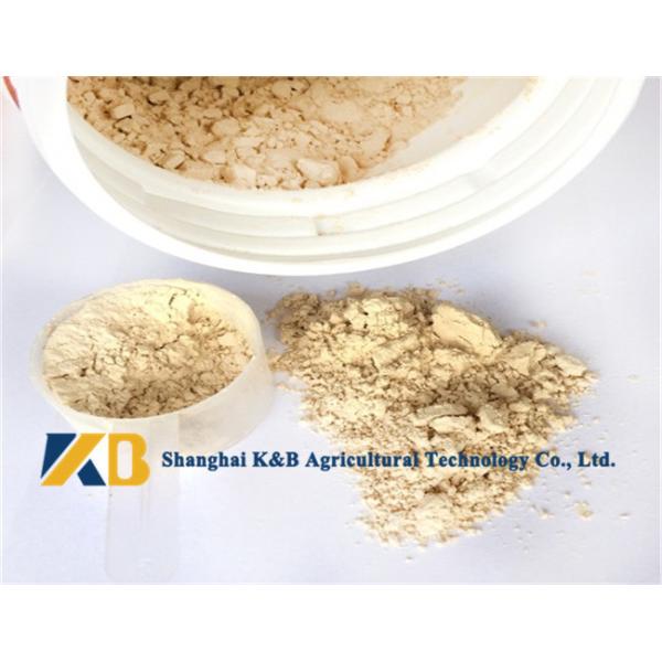 Pure Brown Rice Protein Products / Rice Based Protein Powder For Animal Feed