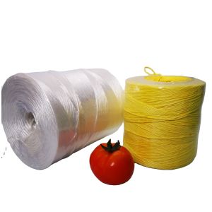 Colorful PP Polypropylene Twine Rope UV Resistant High Strength Twisted Baler Twine for Farm Greenhouse Garden Tomato Vine Support Bundling Packing