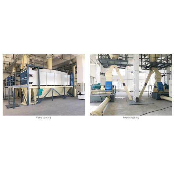 High Efficiency Ethanol Production Equipment DDGS Cooling And Conveying