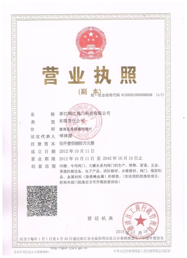 Zhejiang TongJiang Holdings Company Certifications
