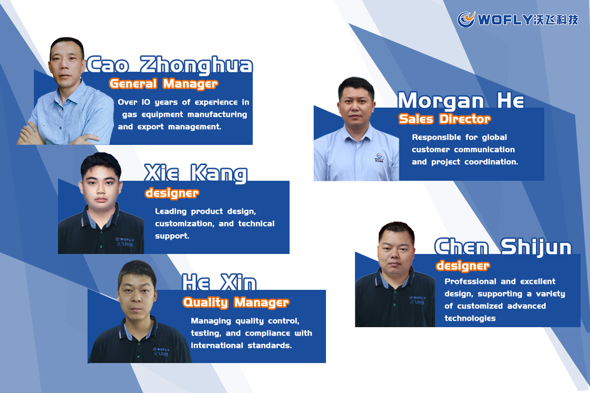 Shenzhen Wofly Technology Co., Ltd.