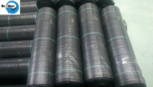 Wholesale Ground Cover 100% Virgin PP Landscape Weed Control Mat Fabric High Quality