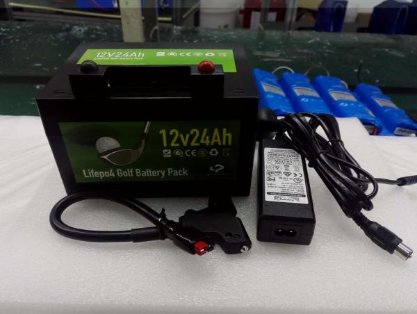 OEM 7.5Ah 12Ah 24Ah 100Ah Lithium Lead Acid Battery Pack Phosphate Iron Batteries For UPS Backup​
