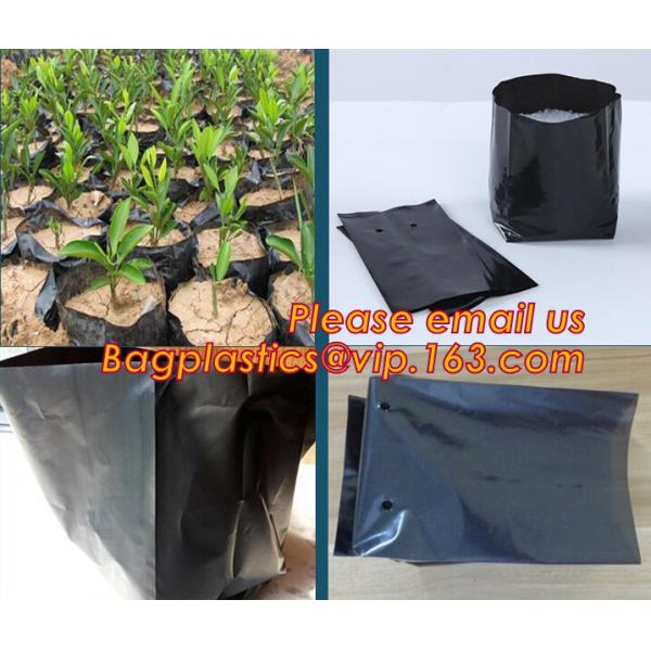 Эффективная УЛЬТРАФИОЛЕТОВАЯ стабилизированная черная белая пластиковая растущая сумка/сумка плантатора дерева полиэтилена слон, поли сумка саженца 5 галлонов