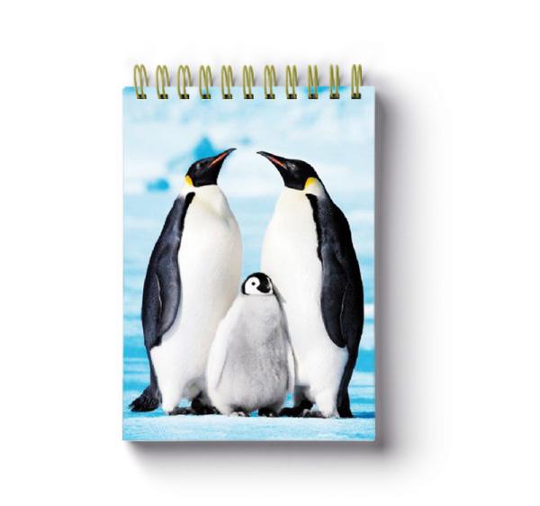 Free Sample A5 Size 3d Lenticular Notebook Cover 0.6mm Thickness