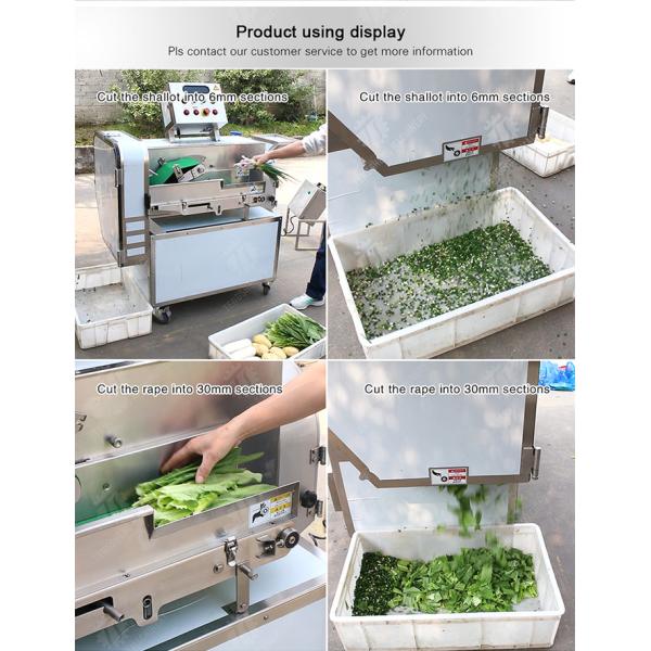 Double head vegetable cutting machine papaya chieh qua pumpkin wax gourd Ginger Potato Carrot radish Taro Sweet potato Yam onion Greens Lettuce Cao Xin Baby Cabbage Chinese Cabbage Cabbage processing