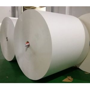 Biodegradable Hot/Cold Drinking Cup PLA Coated Paper Roll With Logo Printing For Paper Cups